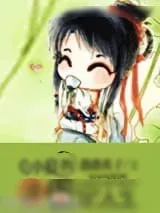 《小妾的淡定人生》小说封面