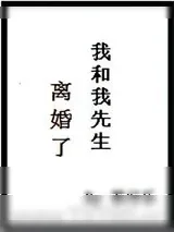 《我和我先生离婚了》小说封面