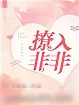 《撩入非非》小说封面