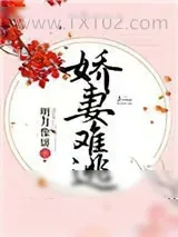 《权臣》小说封面
