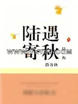 《陆遇寄秋》小说封面