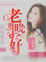 《暖婚蜜爱：老婆晚上好》小说封面