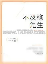 《不及格先生》小说封面