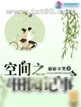 《空间之田园记事》小说封面