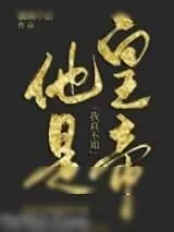 《我真不知他是皇帝》小说封面
