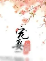 《宠妻之路》小说封面