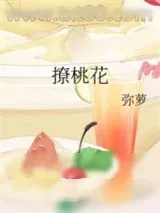 《撩桃花》小说封面