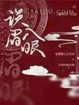 《误入眉眼》小说封面