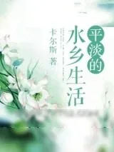 《平淡的水乡生活》小说封面