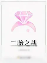 《二胎之战》小说封面