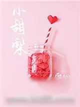 《小甜梨[娱乐圈]》小说封面