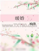 《暖婚》小说封面