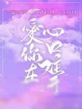 《爱你在心口难开》小说封面