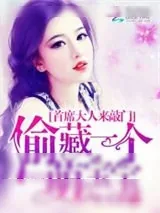 《首席大人来敲门：偷藏一个萌宝宝》小说封面