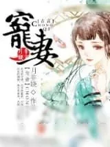 《重生之宠妻》小说封面
