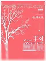 《手可摘星辰》小说封面