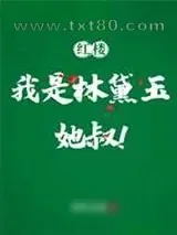 《[红楼]我是林黛玉她叔》小说封面