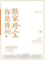 《你是我的独家珍宝》小说封面