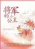 《将军的小公主》小说封面