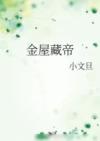 《金屋藏帝》小说封面