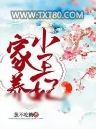 《家养小王妃》小说封面
