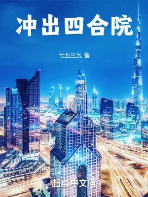 《冲出四合院》小说封面