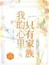 《天下风云》小说封面