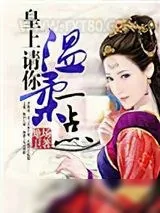 《皇上请你温柔一点》小说封面