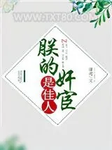 《朕的奸宦是佳人》小说封面