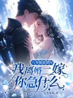 《八年暗恋错付，我离婚二嫁你急什么？》小说封面