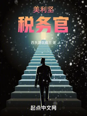 《美利坚税务官》小说封面