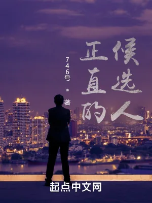 《正直的候选人》小说封面