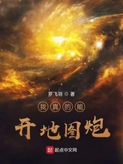 《我真的能开地图炮》小说封面