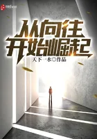 《从向往开始崛起》小说封面