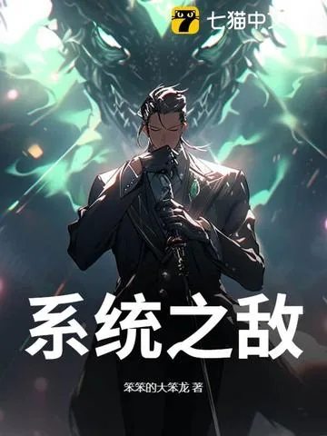 《系统之敌》小说封面