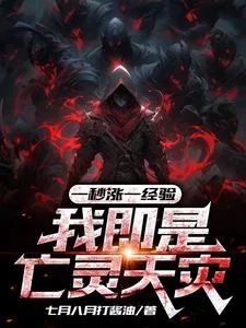 《一秒涨一经验，我即是亡灵天灾》小说封面