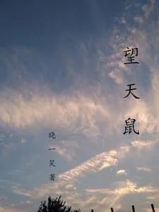 《望天鼠》小说封面