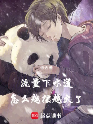 《流量下水道，怎么越摆越火了》小说封面