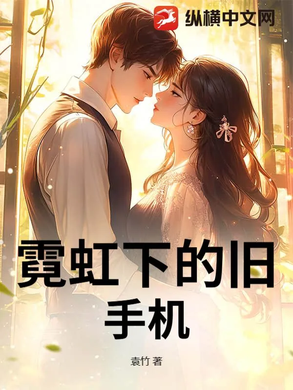 《霓虹下的旧手机》小说封面