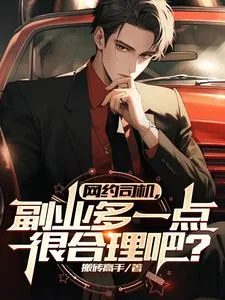 《寻龙分金踢粽子，你管这叫司机？》小说封面