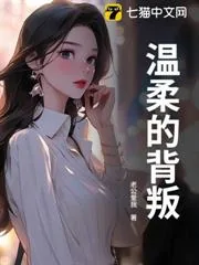 《温柔的背叛》小说封面