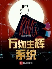 《万物生辉系统》小说封面