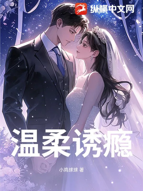 《温柔诱瘾》小说封面
