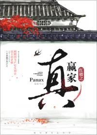 《红楼之真赢家》小说封面