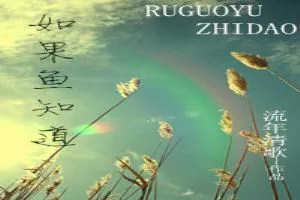 《如果鱼知道》小说封面