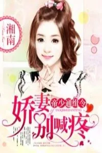 《帝少通缉令：娇妻别喊疼》小说封面