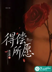 《得偿所愿》小说封面