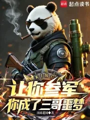 《让你参军，你成了三哥噩梦》小说封面