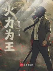 《火力为王》小说封面