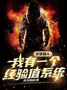 《灾变猎人：我有一个经验值系统》小说封面